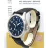 IWC-2066
